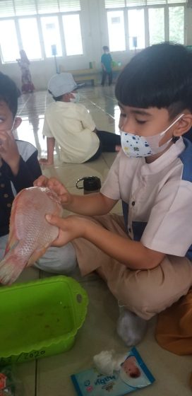 Seru nya Kegiatan Puncak Tema Bedah Ikan Nila